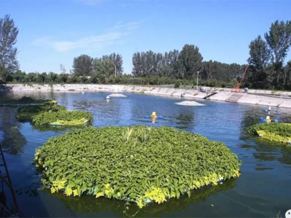 生(shēng)态浮床